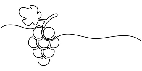 Continuous one line drawing Grape, A simple, line art grape isolated on a white background vegan symbol in linear outline style. 