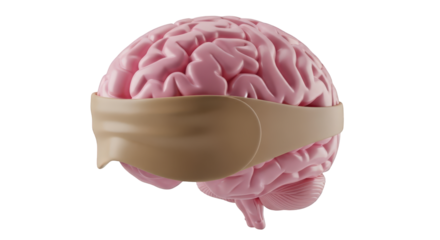 Pink Brain with Tan Blindfold isolated on a transparent background human brain