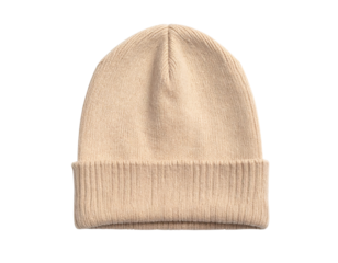 Minimalist Beanie Winter Hat with Neutral Tones