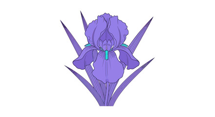 Isolated drawing of a purple iris flower on a white background