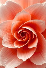 Coral Orange Flower Closeup Abstract Floral Petal Background Macro