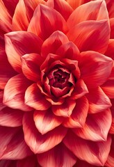 Red Flower Macro Close-Up with Detailed Petals and Vibrant Floral Background
