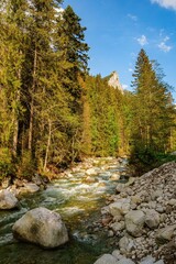 Clear mountain stream flowing over rocks through a lush alpine forest with a rocky peak in the background under a bright blue sky.