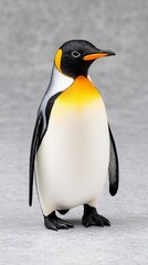 King Penguin Portrait Detailed Close Up of a Flightless Bird on Gray Background