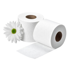 toilet paper isolated on transparent png 