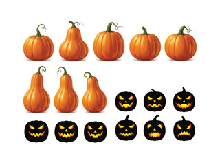 Halloween Pumpkins Variety: A collection of diverse pumpkins showcases a range of shapes, sizes, and styles. From classic round forms to elongated ones, this image captures the essence of autumn.