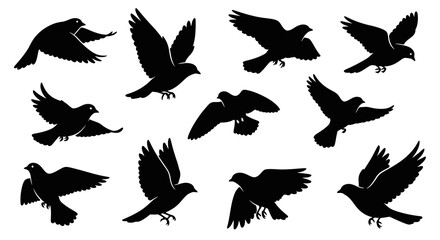 Obraz premium Graceful avian silhouettes displaying soaring flight and freedom in monochrome composition