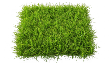 A patch of lush green grass. freshly cut and perfectly manicured. ideal for outdoor activities or landscaping. set against a clear blue sky