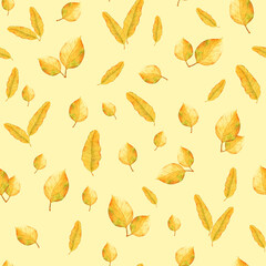 Colorful autumn leaves pattern on a warm light background for seasonal design