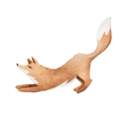 Fox stretching in a playful position during a sunny day in a light forest setting