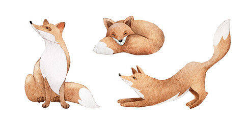 Cute watercolor illustrations of playful foxes showcasing different poses and expressions