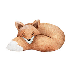 Cute fox curled up peacefully in a cozy resting position, showcasing a warm and inviting watercolor style
