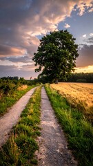 Country lane at sunset