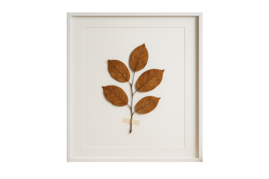 Dried brown leaf branch preserved in a white frame, minimal style on white background, concept of nature art and botanical design. Ai generative