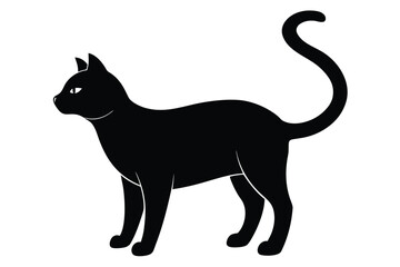 scratching cat silhouette vector icon