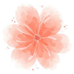 Watercolor peach blossom with delicate petals and textured details isolated on white background