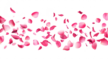 A beautiful scattering of pink rose petals against a clean white background. creating a romantic and serene atmosphere. perfect for wedding invitations or floral designs