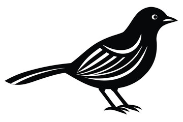 colorful bird vector icon silhouette