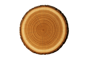 Tree trunk cross section with visible growth rings, isolated in high detail on white background. Concept of science, clean nature, design. Ai generative