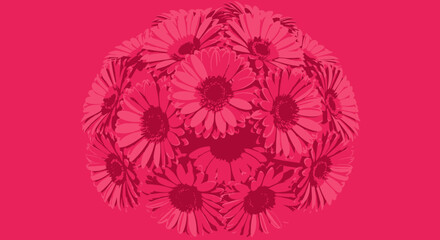 Bunch of pink gerbera daisies on pink