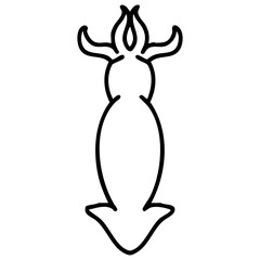 a fresh japanese seafood squid