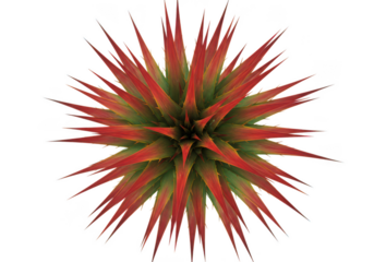 Vibrant red and green spiky abstract starburst shape isolated on transparent background