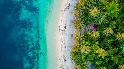 Aerial view of tropical beach with turquoise ocean, white sand, and lush palm trees, creating an idyllic paradise island scene perfect for travel, vacation, and commercial use.
