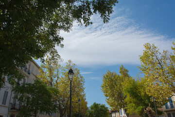 Tree-lined boulevard with historic buildings and blue sky in Marseille, France