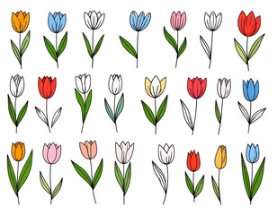 Collection of colorful tulip illustrations