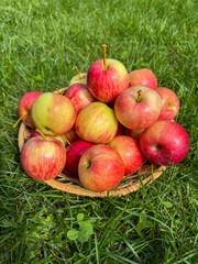 Basket of Fresh Red Apples on Grass