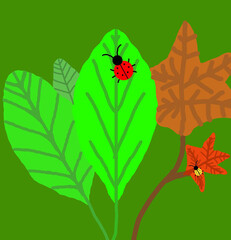 Two different ladybugs on the leaves.