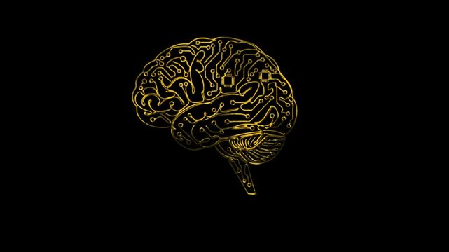 Animated golden human brain circuit pattern pulsing on black background