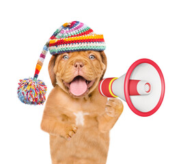 Dog wearing warm knitted winter hat barking into a megaphone. Isolated on white background