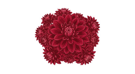 Cluster of deep red dahlia flowers arranged centrally