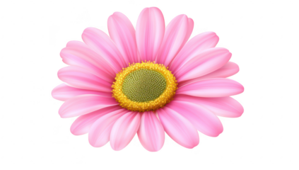 A pink daisy flower with a detailed yellow center. set against a clean white background. perfect for nature-themed designs. greeting cards. or floral decorations