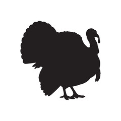 Turkey Bird Silhouette Vector Illustration Black Thanksgiving Animal Graphic Design