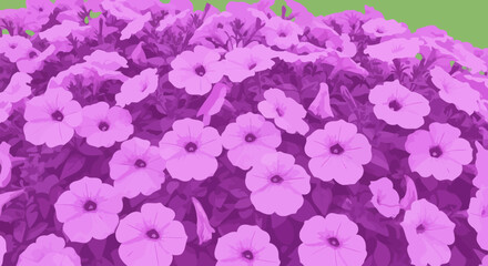 Obraz premium Pink petunia flowerbed with green background fills the frame