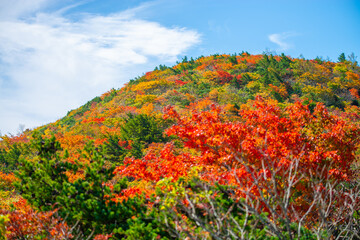 秋の安達太良山