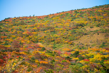 秋の安達太良山