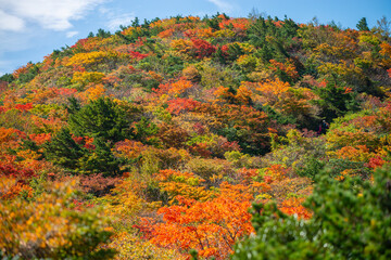 秋の安達太良山