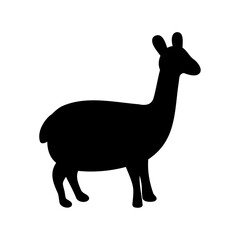 Silhouette of a Llama Against a White Background, Side View, Peaceful