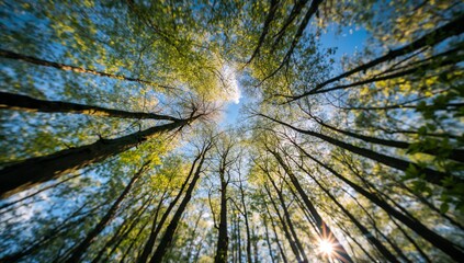 Sunlight filters through vibrant spring foliage in a dense forest.
