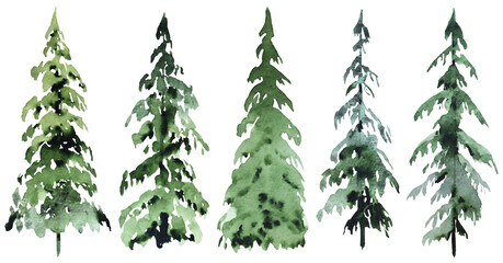Fototapeta na wymiar Hand drawn watercolor green spruce or pine trees, isolated illustration for winter stationery
