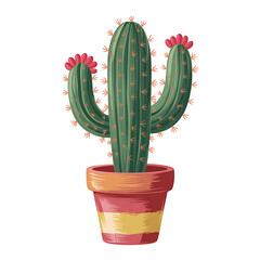 cactus isolated on white