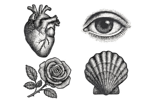 Naklejki Vector set of hand-drawn stippling illustrations. Anatomical heart, all-seeing eye, rose, and seashell. Vintage engraving dotwork style with retro photocopy grunge texture effect.