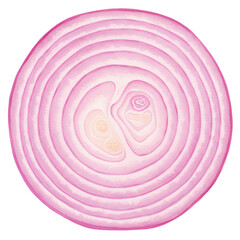 Watercolor slice of red onion revealing concentric rings and delicate details isolated on white background