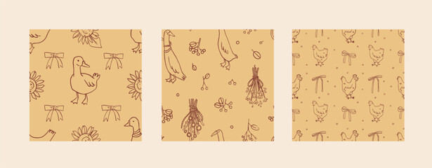 Farm birds seamless pattern collection. Hand drawn summer cottagecore line art backgrounds set. Whimsical chicken pattern, goose pattern, duck pattern. Easter vector background set © cute_vector