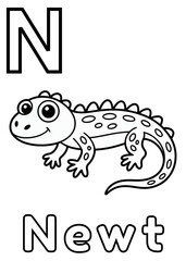Animal Alphabet: N for Newt