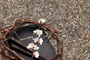 Crown Of Thorns and holly bible book