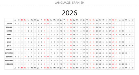 Spanish 2026 linear calendar planner. Printable vector illustration Spain
